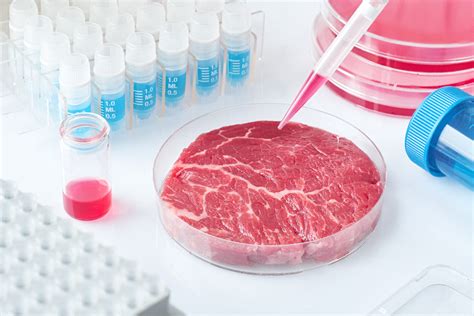 laboratory analysis meat|government approves lab grown meat.